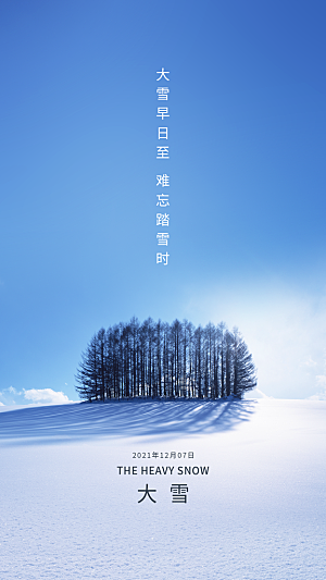 大雪节气简约大气海报