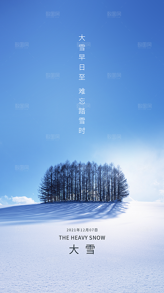 大雪节气简约大气海报
