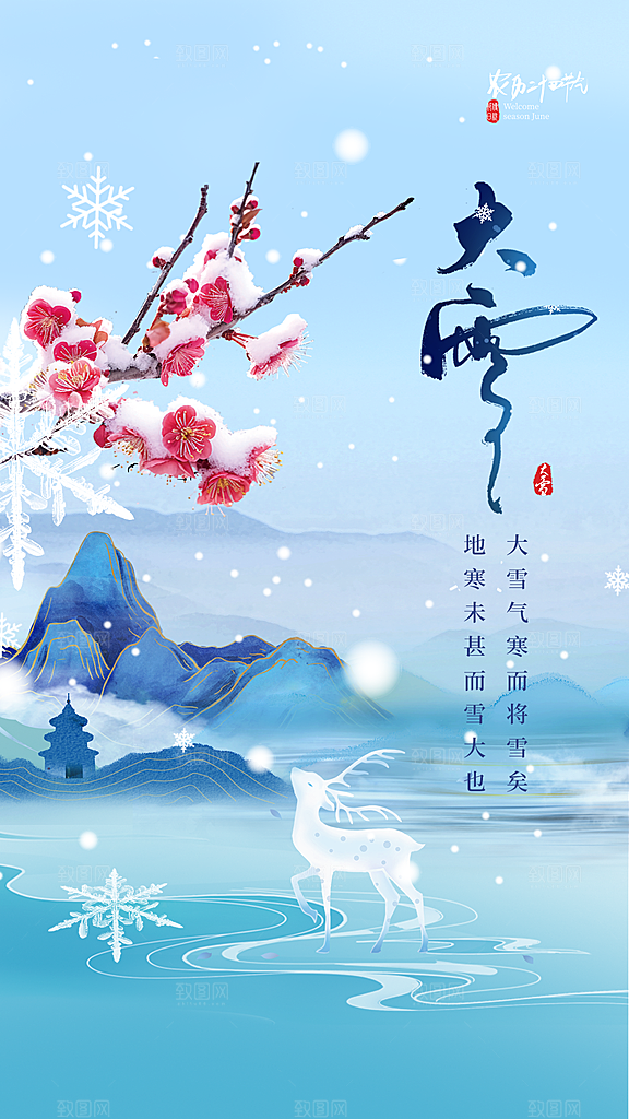 大雪节气简约大气海报