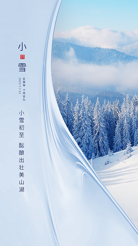 大雪节气简约大气海报