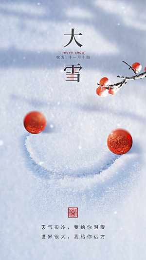 大雪节气简约大气海报
