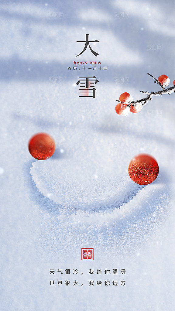 大雪节气简约大气海报