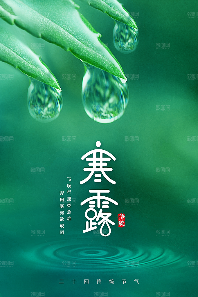 寒露节气简约大气海报
