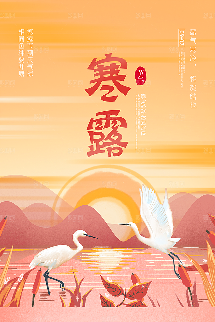 寒露节气简约大气海报