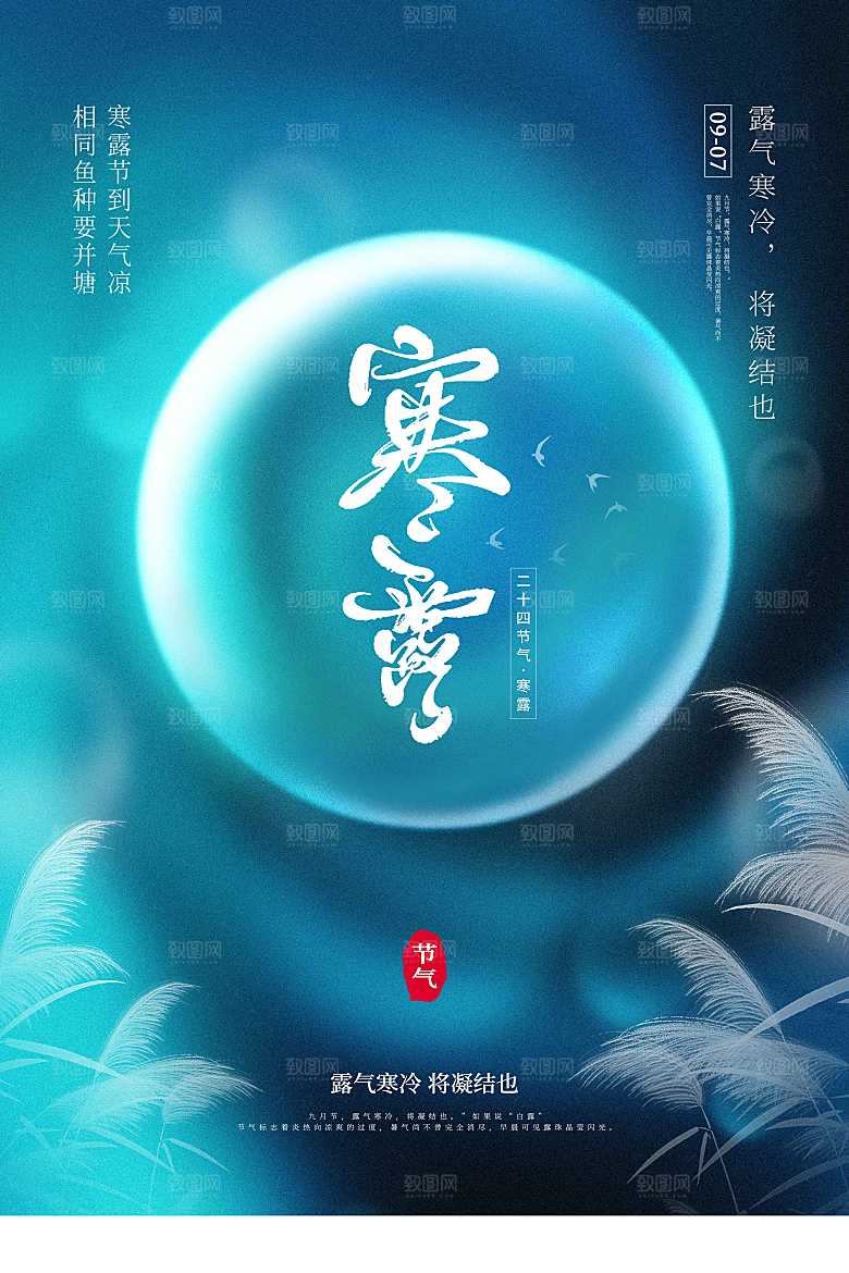 寒露节气简约大气海报