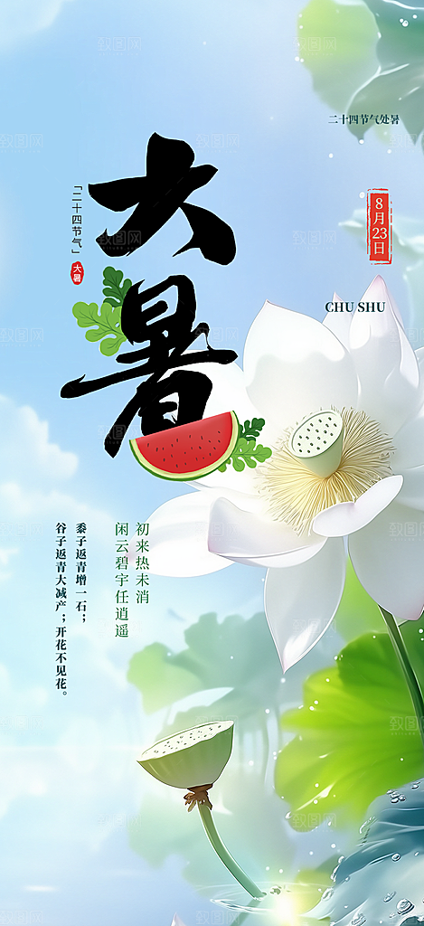 夏日二十四节气大暑炎热节气海报