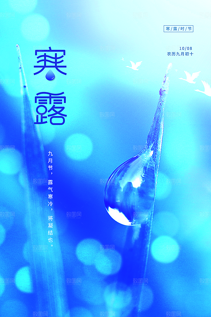 寒露节气简约大气海报