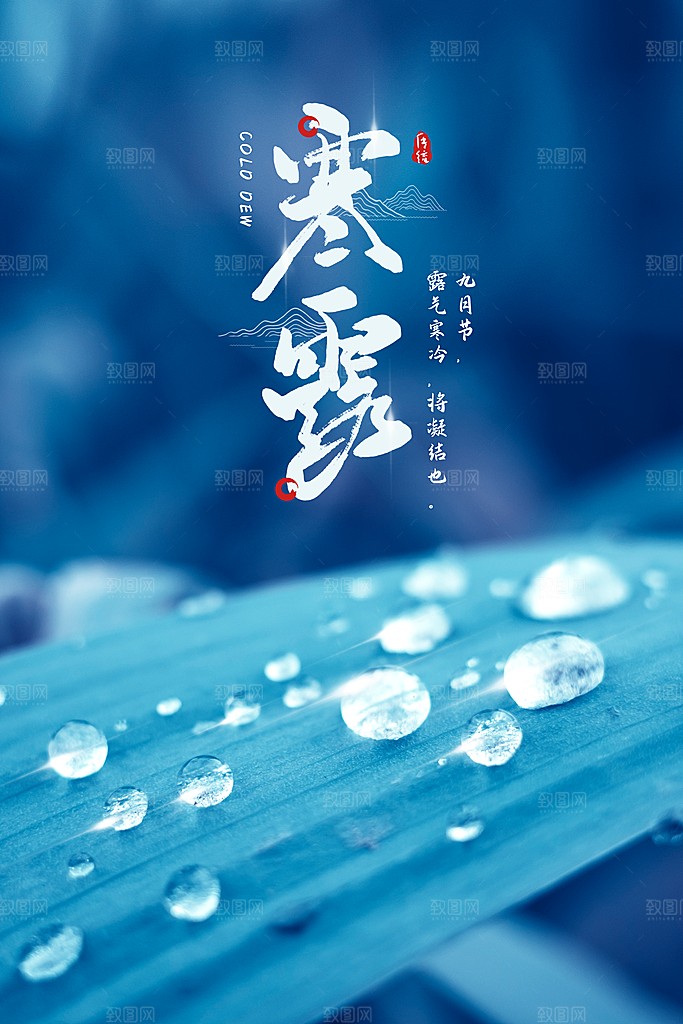 寒露节气简约大气海报