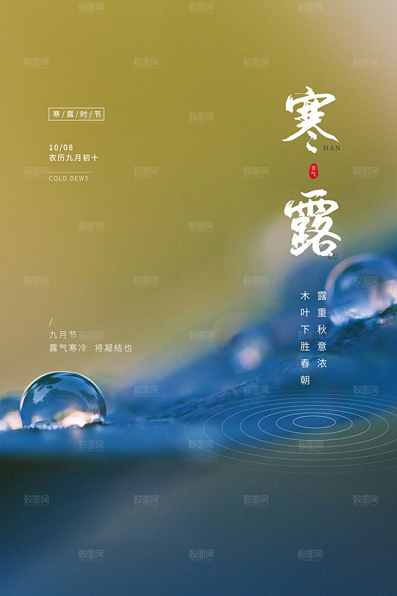 寒露节气简约大气海报