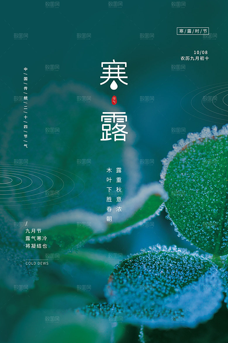 寒露节气简约大气海报