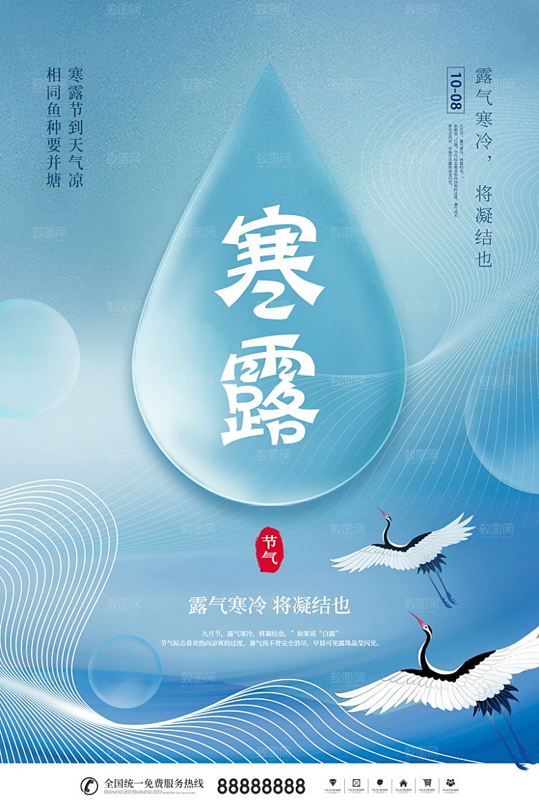 寒露节气简约大气海报