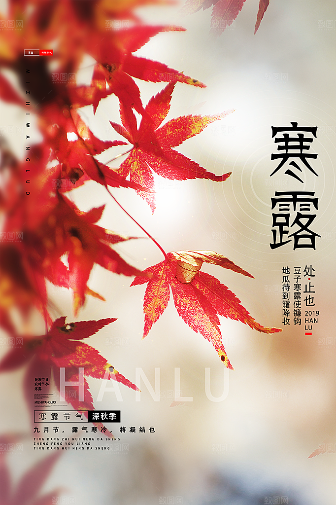 寒露节气简约大气海报