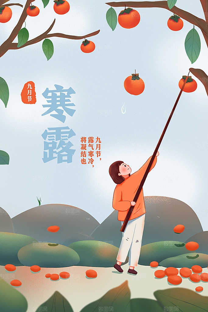 寒露节气简约大气海报