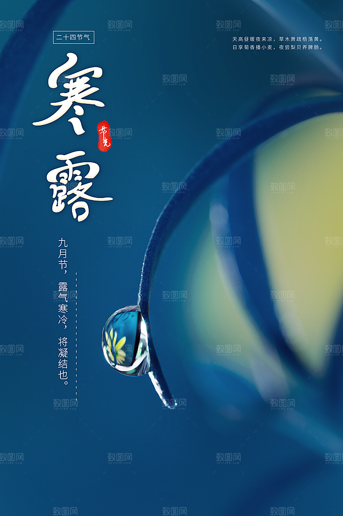 寒露节气简约大气海报