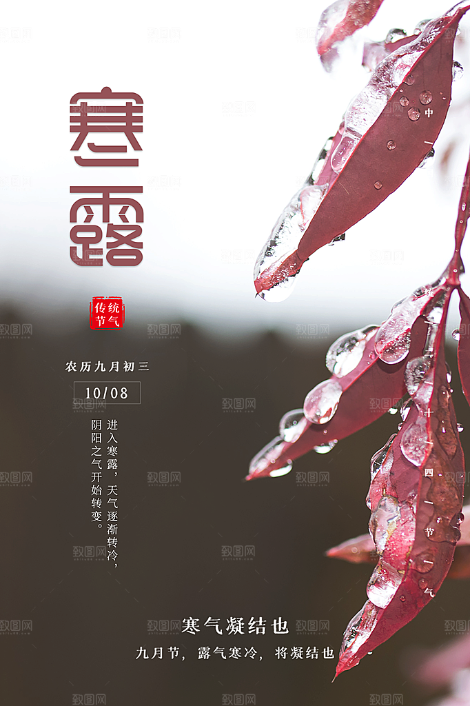 寒露节气简约大气海报