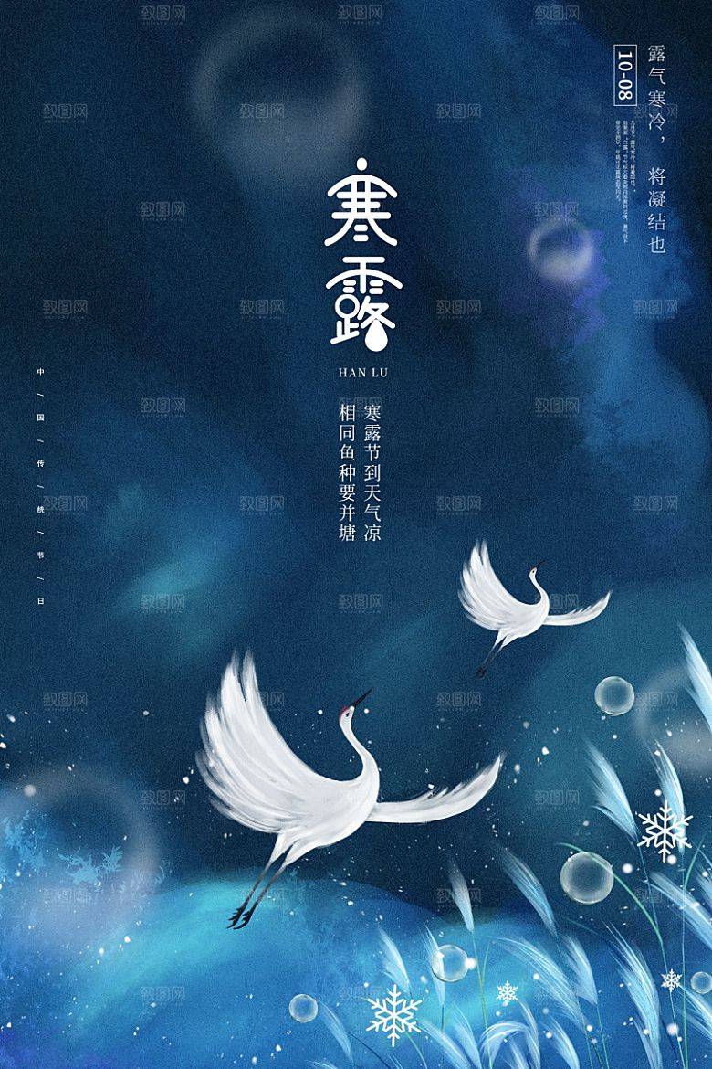 寒露节气简约大气海报