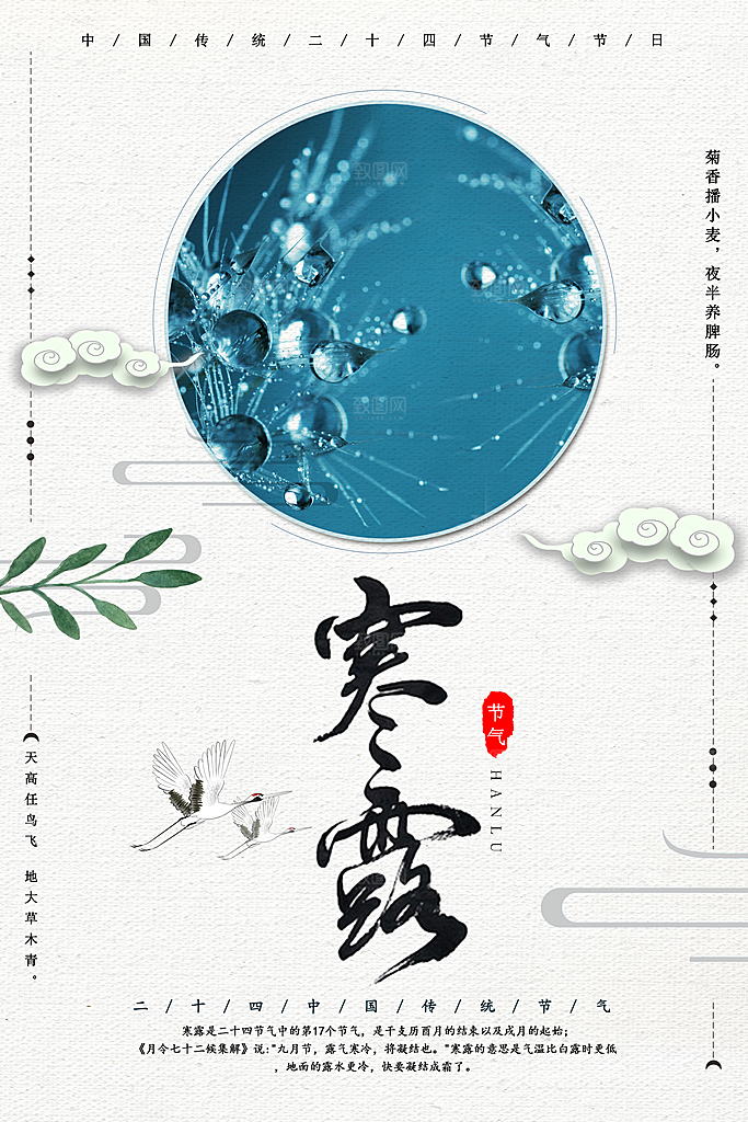 寒露节气简约大气海报