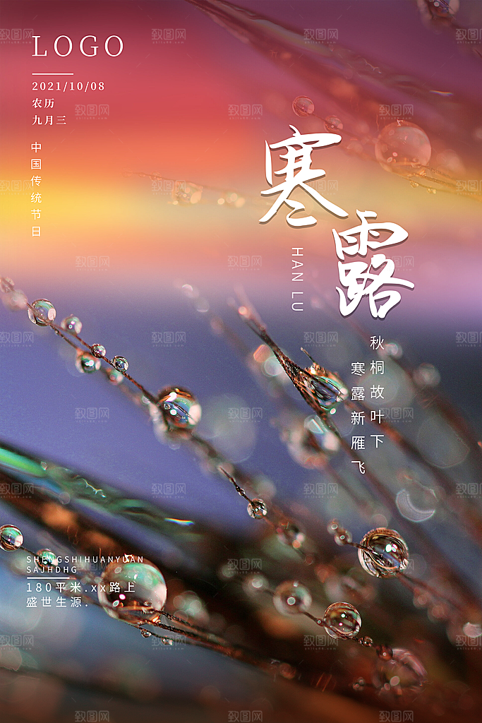 寒露节气简约大气海报