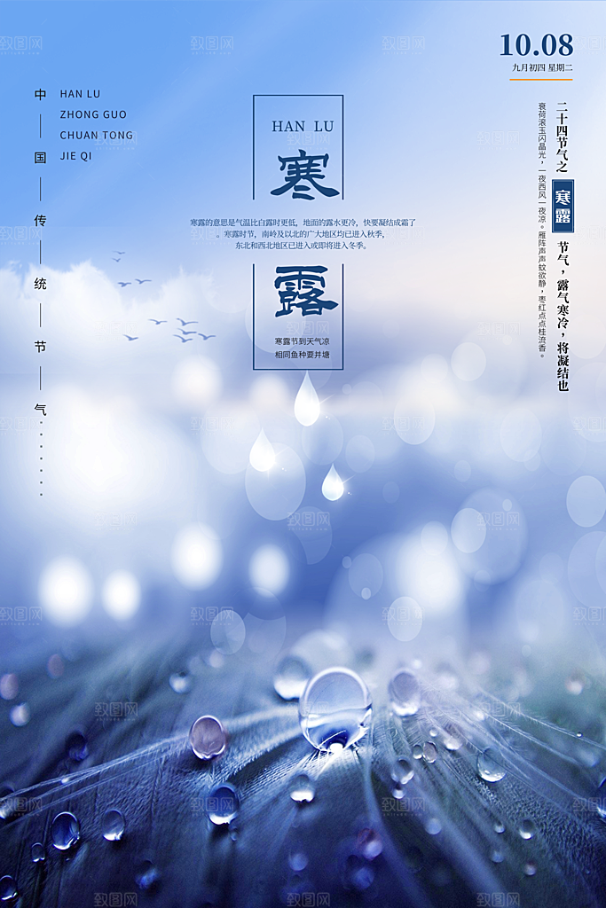 寒露节气简约大气海报
