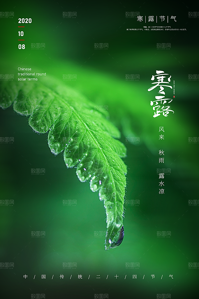 寒露节气简约大气海报