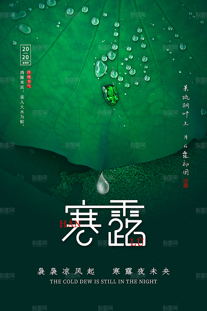 寒露节气简约大气海报