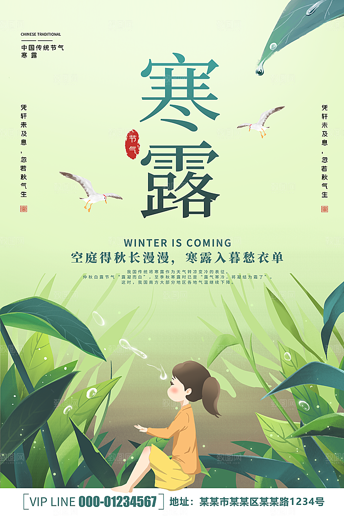 寒露节气简约大气海报