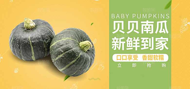 新鲜蔬菜绿色南瓜