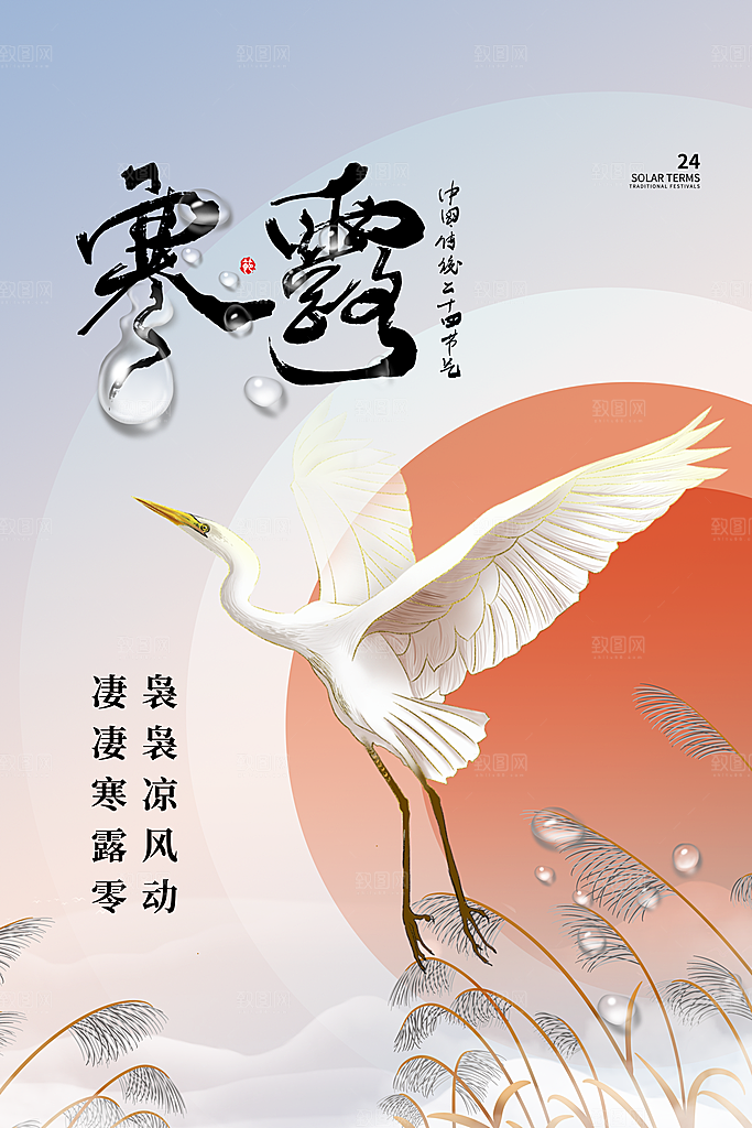 寒露节气简约大气海报