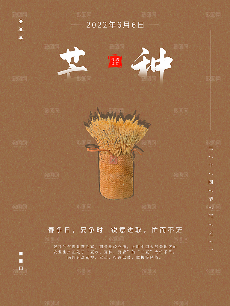 传统二十四节气芒种