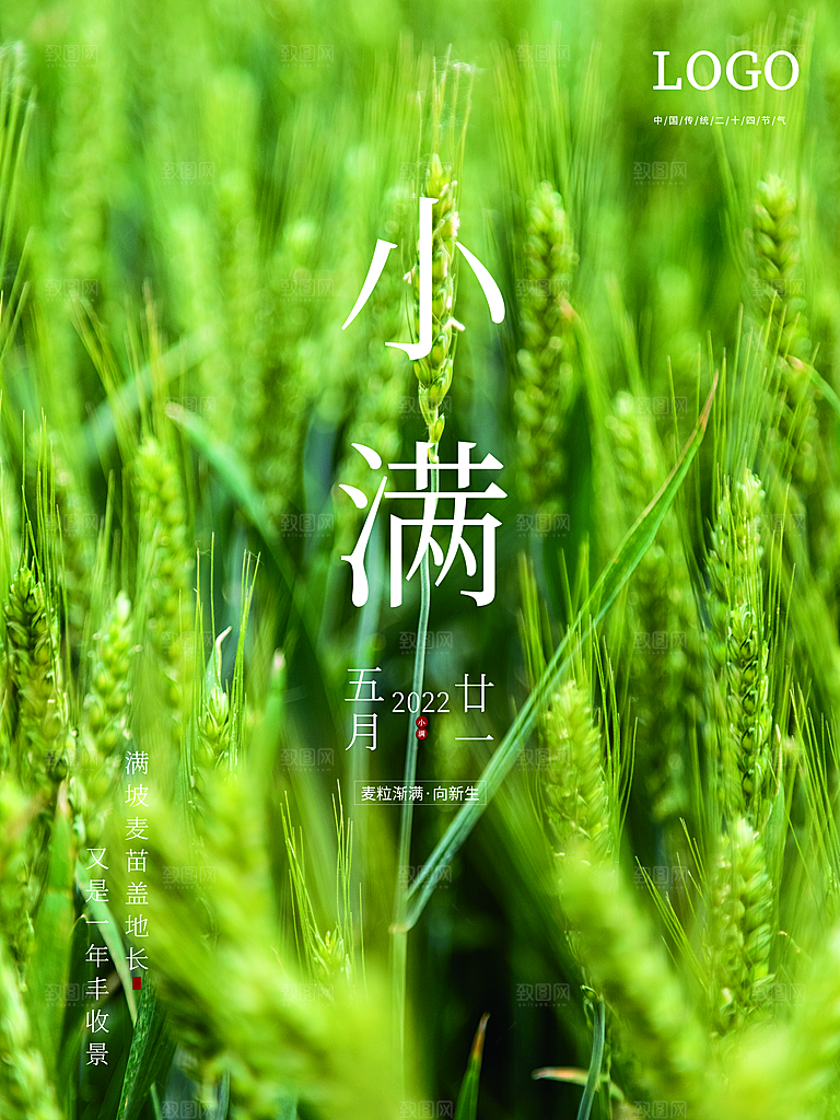 传统二十四节气小满