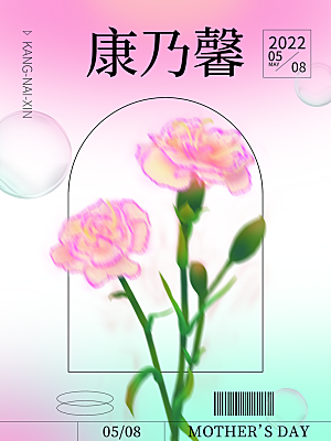 鲜花康乃馨宣传海报