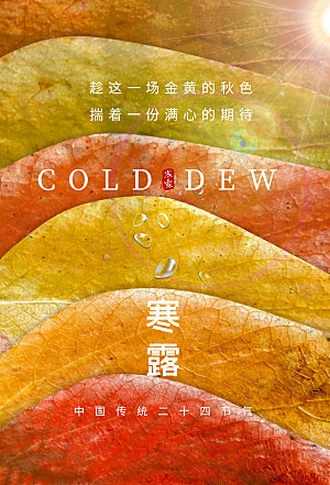 寒露节气简约大气海报