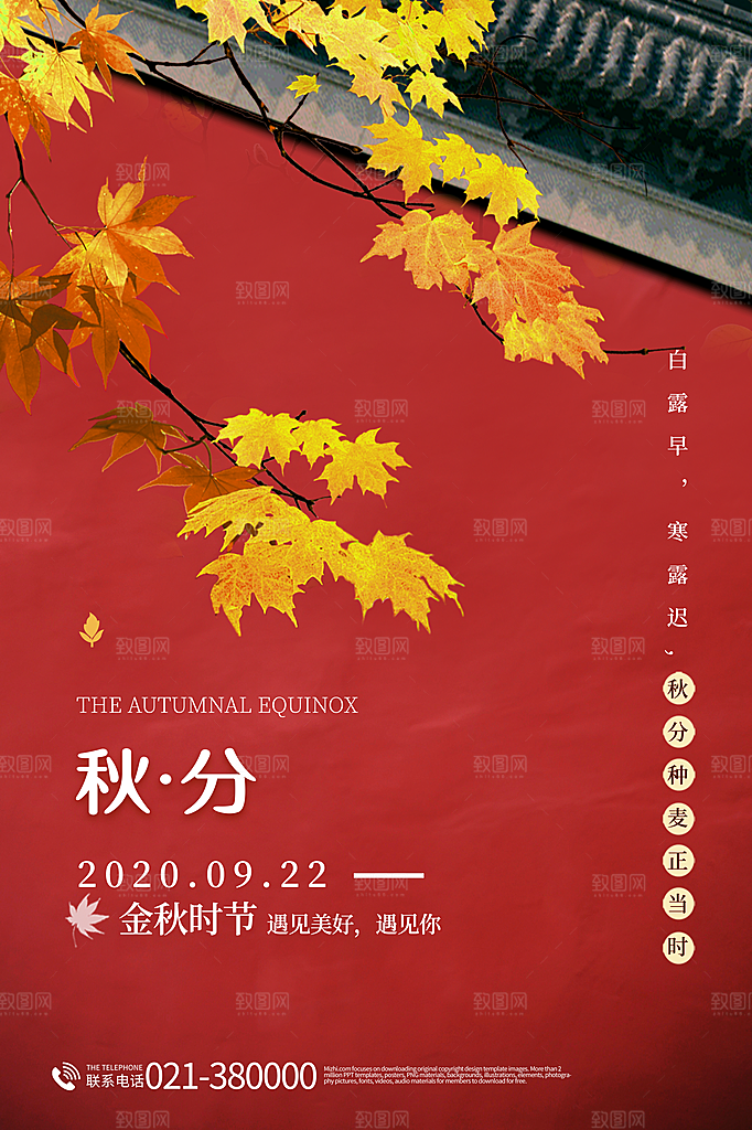 秋分节气简约大气海报