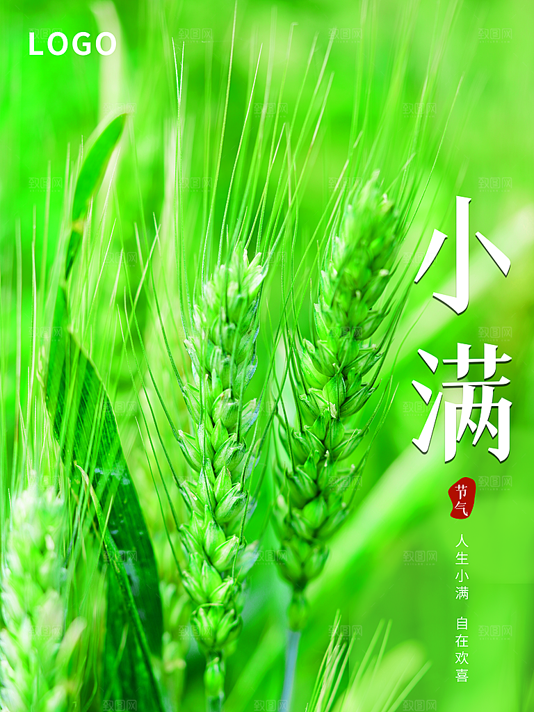传统二十四节气小满
