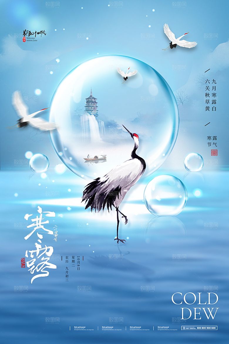寒露节气简约大气海报