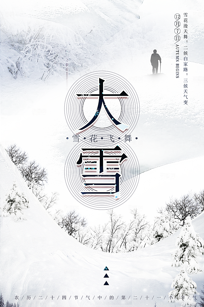 大雪节气简约大气海报