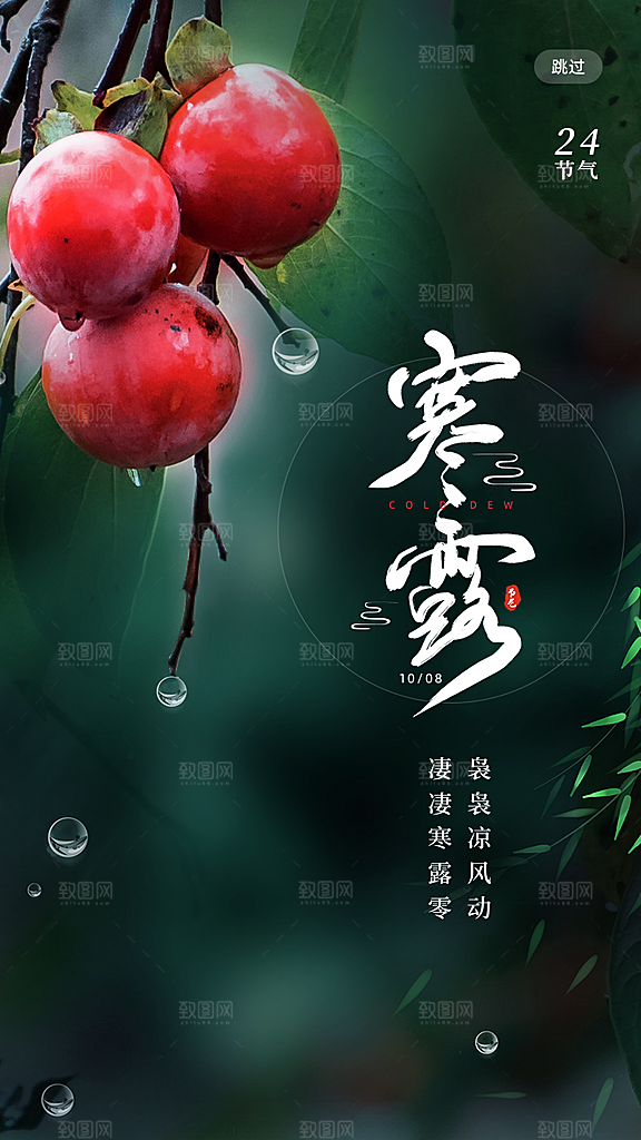 寒露节气简约大气海报