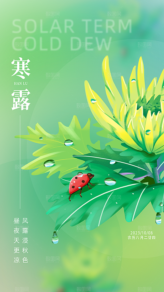 寒露节气简约大气海报