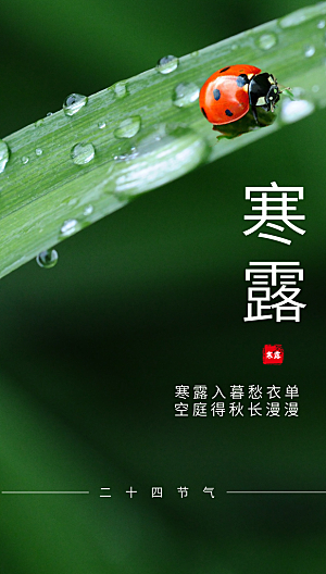 寒露节气简约大气海报