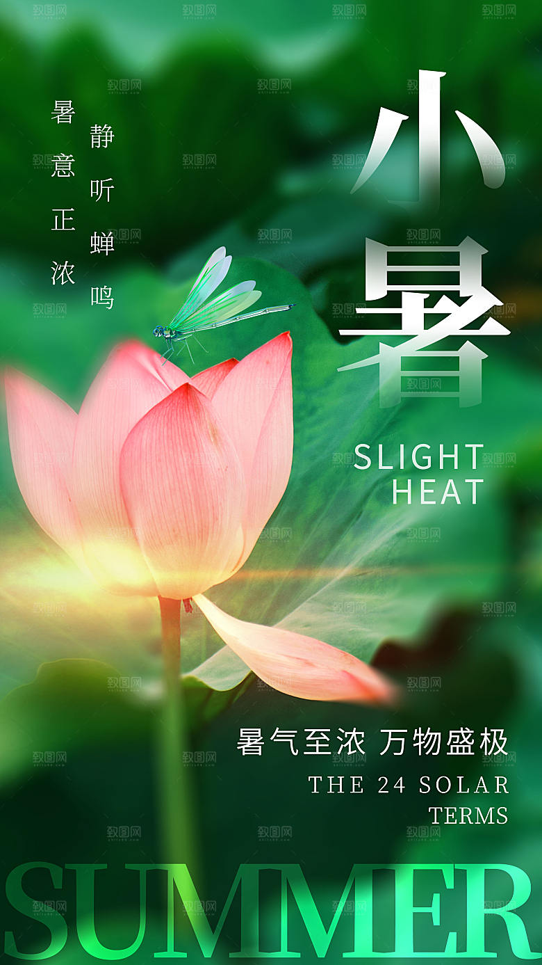简约小暑节气摄影图海报