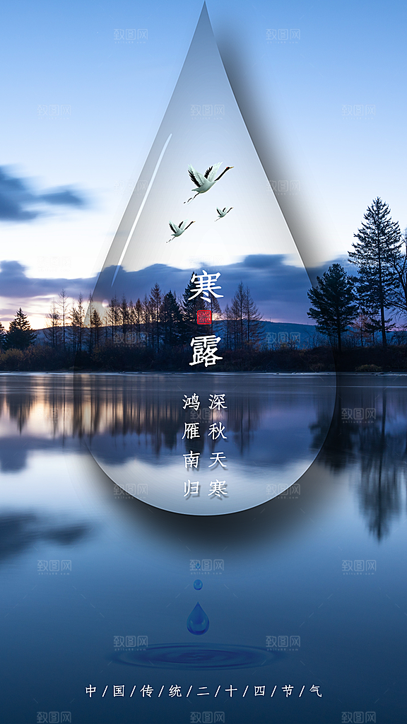 寒露节气简约大气海报