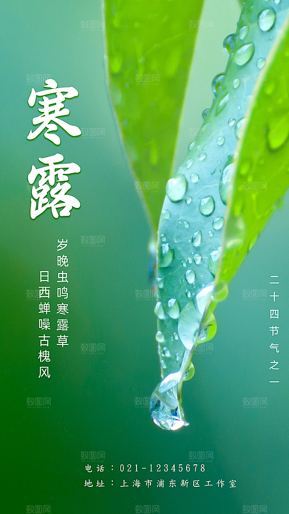 寒露节气简约大气海报
