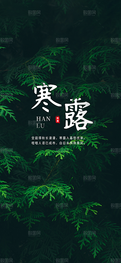 寒露节气简约大气海报