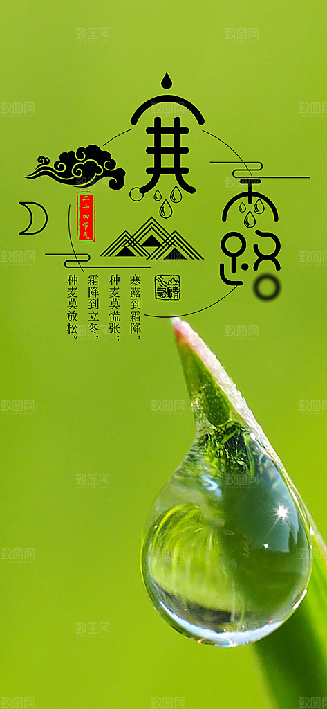 寒露节气简约大气海报