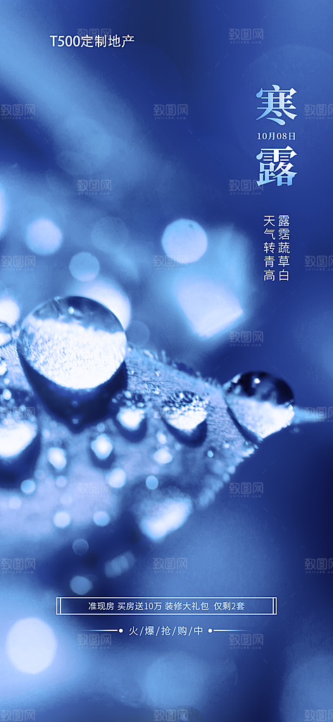 寒露节气简约大气海报