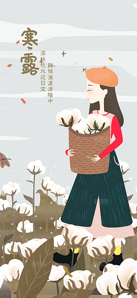 寒露节气简约大气海报
