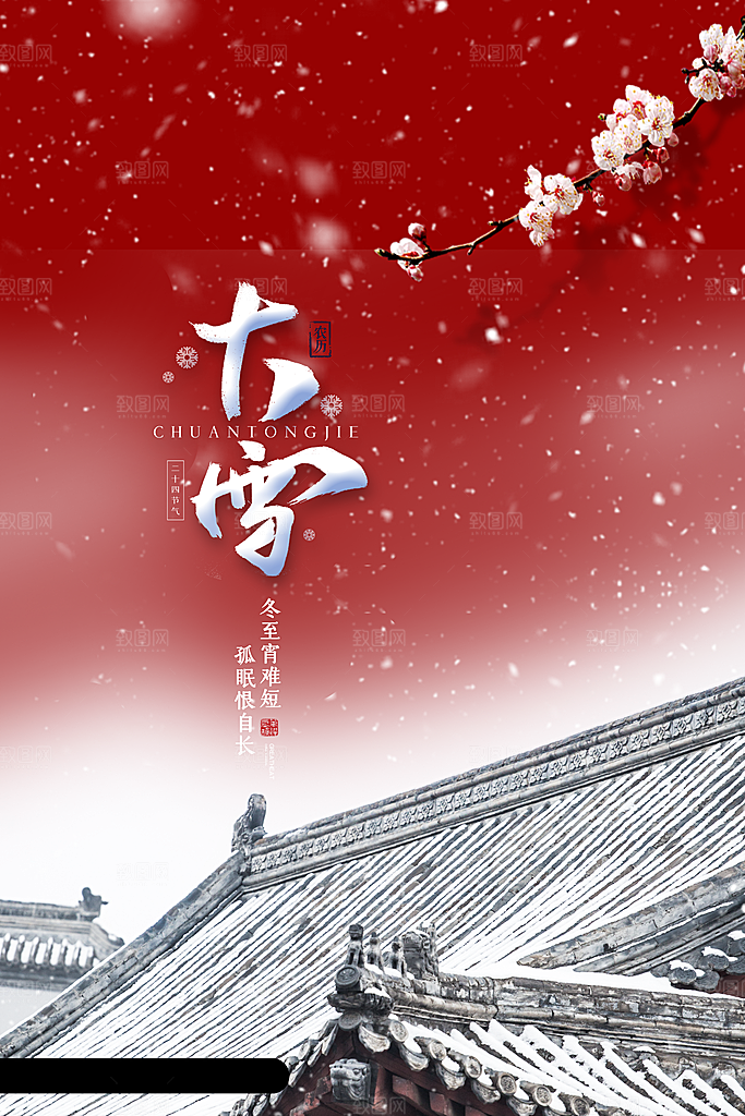 大雪节气简约大气海报