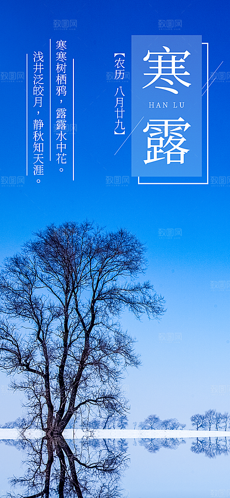 寒露节气简约大气海报