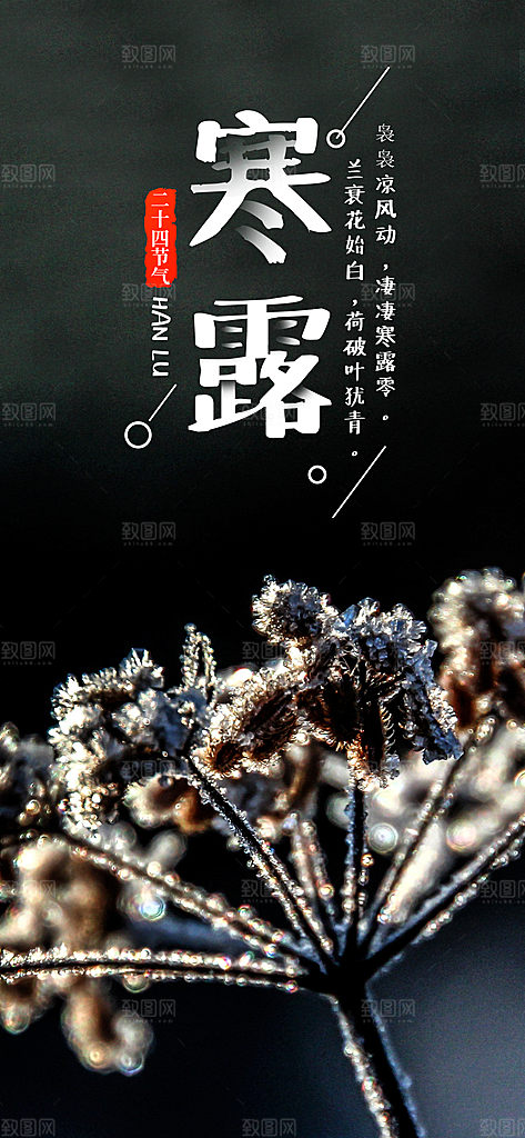 寒露节气简约大气海报