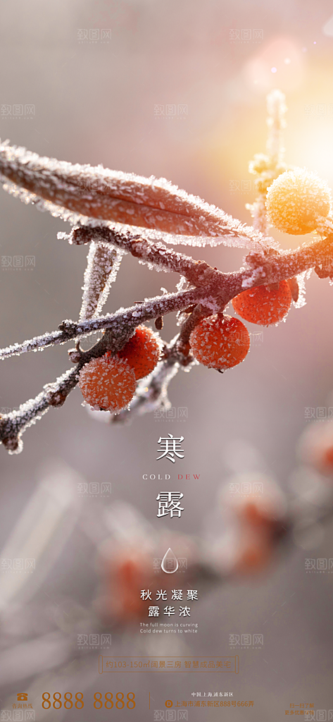 寒露节气简约大气海报